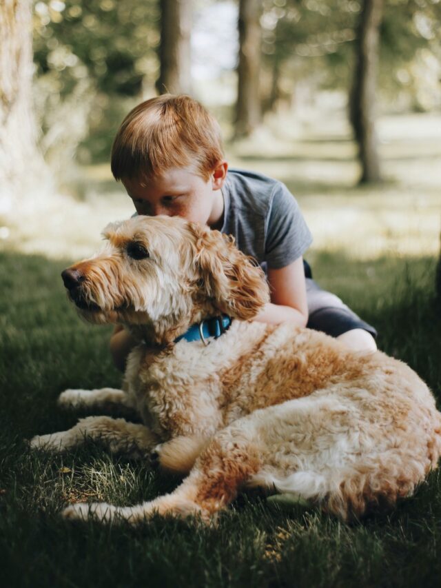 Animais de estimação e autismo infantil